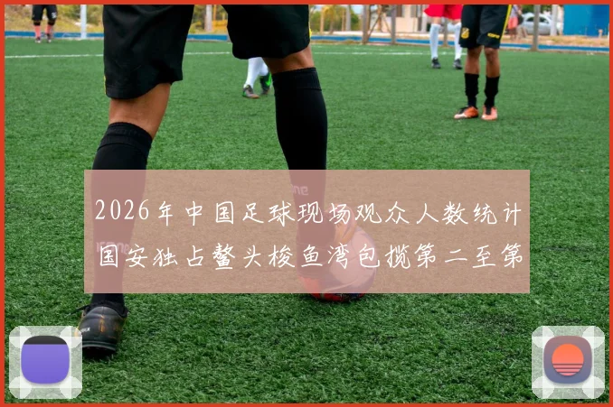 2026年中国足球现场观众人数统计国安独占鳌头梭鱼湾包揽第二至第七位