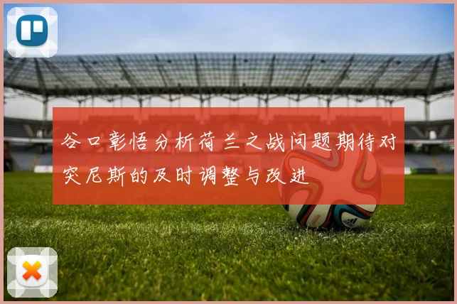 谷口彰悟分析荷兰之战问题期待对突尼斯的及时调整与改进